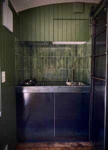 una cocina verde con fregadero y encimera en The Box Car with Outdoor Private Bath, en Closeburn