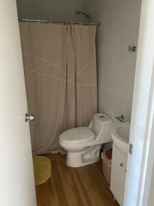een badkamer met een toilet en een wastafel bij Hotel Villarrica Centro in Villarrica