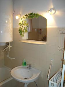 a bathroom with a sink and a mirror at Park Nyaralóház in Badacsonytomaj