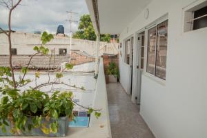 un pasillo de un edificio con plantas a un lado en Marias House - Magnifique Hotels, en Santa Marta