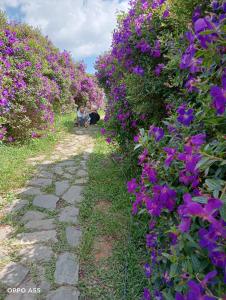 two children sitting on a path in a garden with purple flowers at Hoa Lan Hotel in Bak Kan