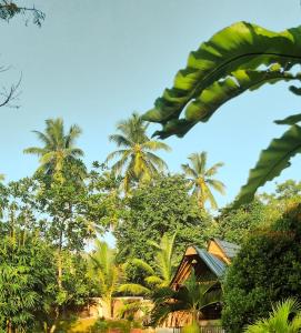 a house in the middle of a forest of palm trees at NJ House in Tangalle