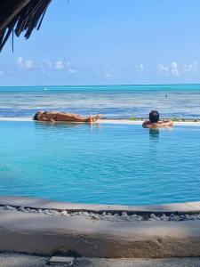 two people swimming in a pool in the ocean at Driftwood Beach Lodge in Jambiani