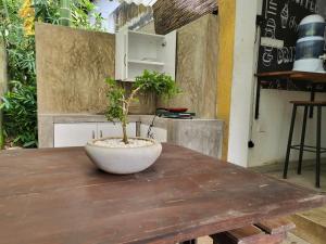 Fotografie z fotogalerie ubytování Hasthi homestay v destinaci Kandy