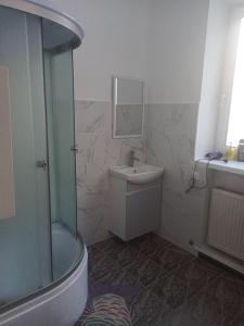 een badkamer met een wastafel, een toilet en een douche bij Старий Дворик,кімнати біля жд вокзалу in Lviv