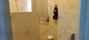 een badkamer met een douche, een toilet en een wastafel bij Casa praia grande in Praia Grande