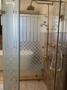 a shower with a glass door in a bathroom at Safari Hotel in Nizwa