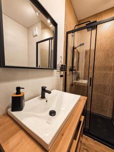 een badkamer met een wastafel en een douche bij STARE MIASTO KWIATY in Elblag