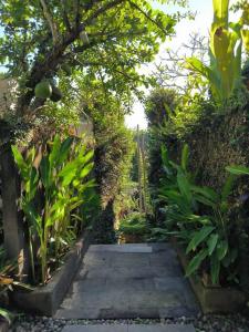 A Uniq Villa 1 Bed Room Private