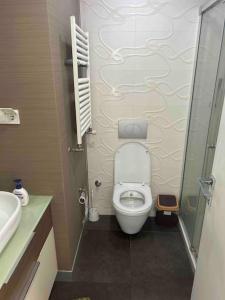 La petite salle de bains est pourvue de toilettes et d'un lavabo. dans l'établissement Cosy 1+1, à Istanbul