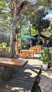 um parque com bancos de madeira e uma árvore em Cool Pool Bungalow em Ban Phônmuang