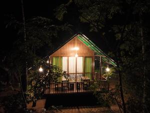 Zahrada ubytování Coconut Tree House