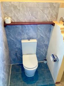 een badkamer met een wit toilet in een kamer bij La Reine Creole in La Gaulette