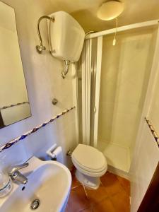 a bathroom with a toilet and a sink and a shower at Procida Marina Grande in Procida