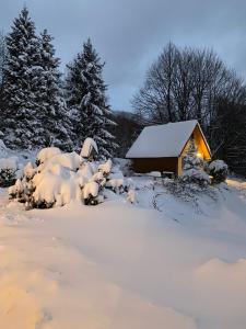 eine Hütte im Schnee mit Licht an in der Unterkunft Domek górski na Polanie Goryczkowej 700 m npm - Szczyrk dojazd samochodem terenowym, w zimie utrudniony - wymagane łańcuchy in Szczyrk