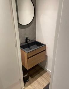 a bathroom with a sink and a mirror at sfeervol monumentaal pand in Maastricht