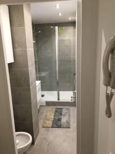 een badkamer met een douche, een toilet en een wastafel bij Agréable deux pièces avec loggia in Vanves
