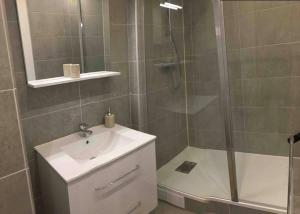 een badkamer met een douche, een wastafel en een douche bij Agréable deux pièces avec loggia in Vanves