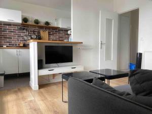 a living room with a couch and a television at Agréable deux pièces avec loggia in Vanves