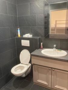 a bathroom with a toilet and a sink at Appartement Brides Confort in Brides-les-Bains