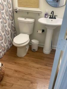 uma casa de banho com um WC e um lavatório em Modern Loft Carriage House em Decatur