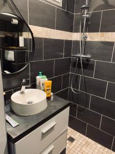 een badkamer met een wastafel en een douche bij L'Industriel : Duplex Montreuil in Montreuil