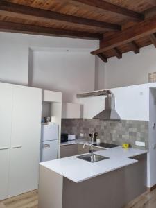 a white kitchen with a sink and a refrigerator at el niu dels ocells 2 in Sant Joan de les Abadesses