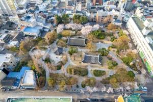 an aerial view of a park in a city at Daegu Gyeong`s Hostel - Foreigner Only in Daegu