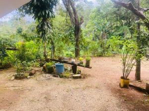 a picnic table in the middle of a forest at Hugging Clouds in Adams Peak