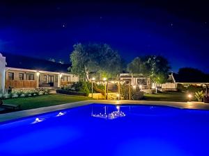 a large blue swimming pool in a yard at night at Lady Loch Country House in Wellington