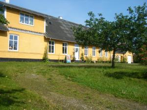 a yellow building with a tree in front of it at Tolne NaturePark 1 tv in Sindal