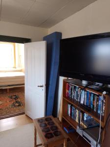 sala de estar con TV de pantalla plana y estante para libros en Tolne NaturePark 1 tv, en Sindal