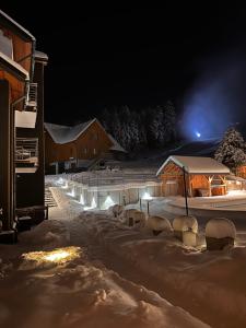 a snow covered yard at night with a building at Aparthotel Narciarska 2 in Korbielów