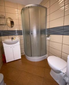 a bathroom with a shower and a toilet and a sink at Słoneczny Taras in Krynica Morska