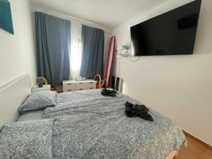 Fotografia z galérie ubytovania FeWo Holidaybox Fuerteventura v destinácii Costa Calma