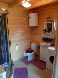 a wooden bathroom with a toilet and a sink at Lawendowy Domek Mazury in Rydzewo