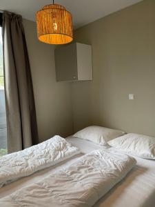 a bedroom with two beds and a chandelier at It Fugelnest in Tzummarum