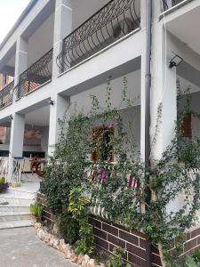 President House - Image 6