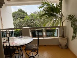 d'un balcon avec une table et un palmier. dans l'établissement Residence Saint James, à La Somone