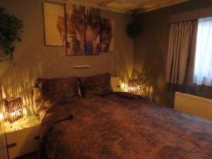 Un dormitorio con una cama con dos luces. en Veluwe Park Reewold Chalet Eclipse en Putten
