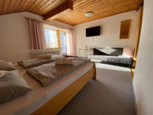 a bedroom with two beds and a television in it at Haus Latschenheim in Ramsau am Dachstein