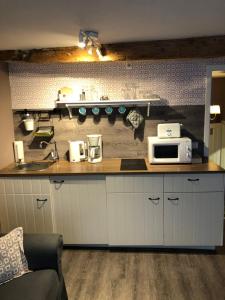 eine Küche mit einer Arbeitsplatte und einer Mikrowelle in der Unterkunft Himmel & Hölle Pölkenstraße in Quedlinburg