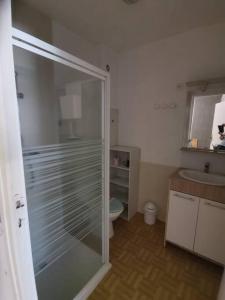 Phòng tắm tại T1 bis centre ville d'Aurillac
