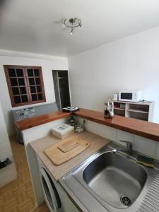 una cocina con fregadero de acero inoxidable y encimera en T1 bis centre ville d'Aurillac, en Aurillac