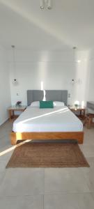a bedroom with a large bed with a brown rug at Theasis Limnos - 1st floor suite in Agios Ioannis Kaspaka