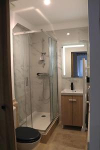 uma casa de banho com um chuveiro, um WC e um lavatório. em Superbes Appartements Modernes et Neufs em Bagnols-sur-Cèze