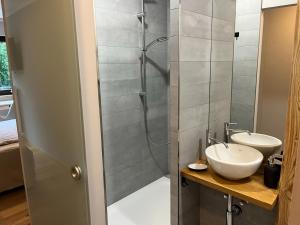 ein Bad mit einer Dusche und einem Waschbecken in der Unterkunft Wohnen bei FrauSchmitt in Bad König
