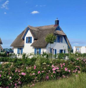 a white house with a gray roof in a field of flowers at Reetdachhaus Seasons mit Kamin & Sauna in Groß Schwansee