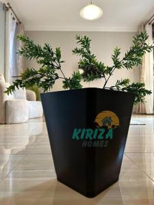 a black pot with a plant in a living room at Kiriza Homes in Bulindo