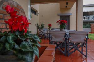 a patio with chairs and a table with red flowers at SaltHouse #2 in Kalabaka +14 photos